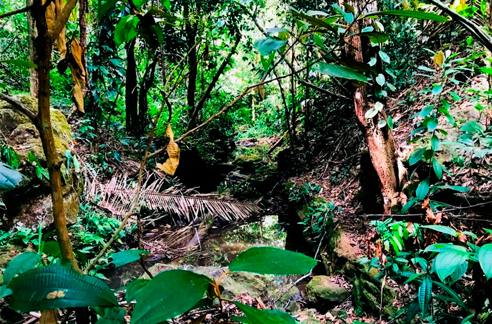 Cachoeira do Urubu | Bate-Volta