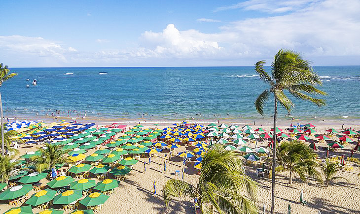 Praia do Forte + Guarajuba | Bate-Volta