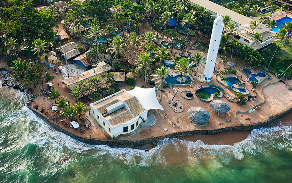 Praia do Forte + Guarajuba | Bate-Volta