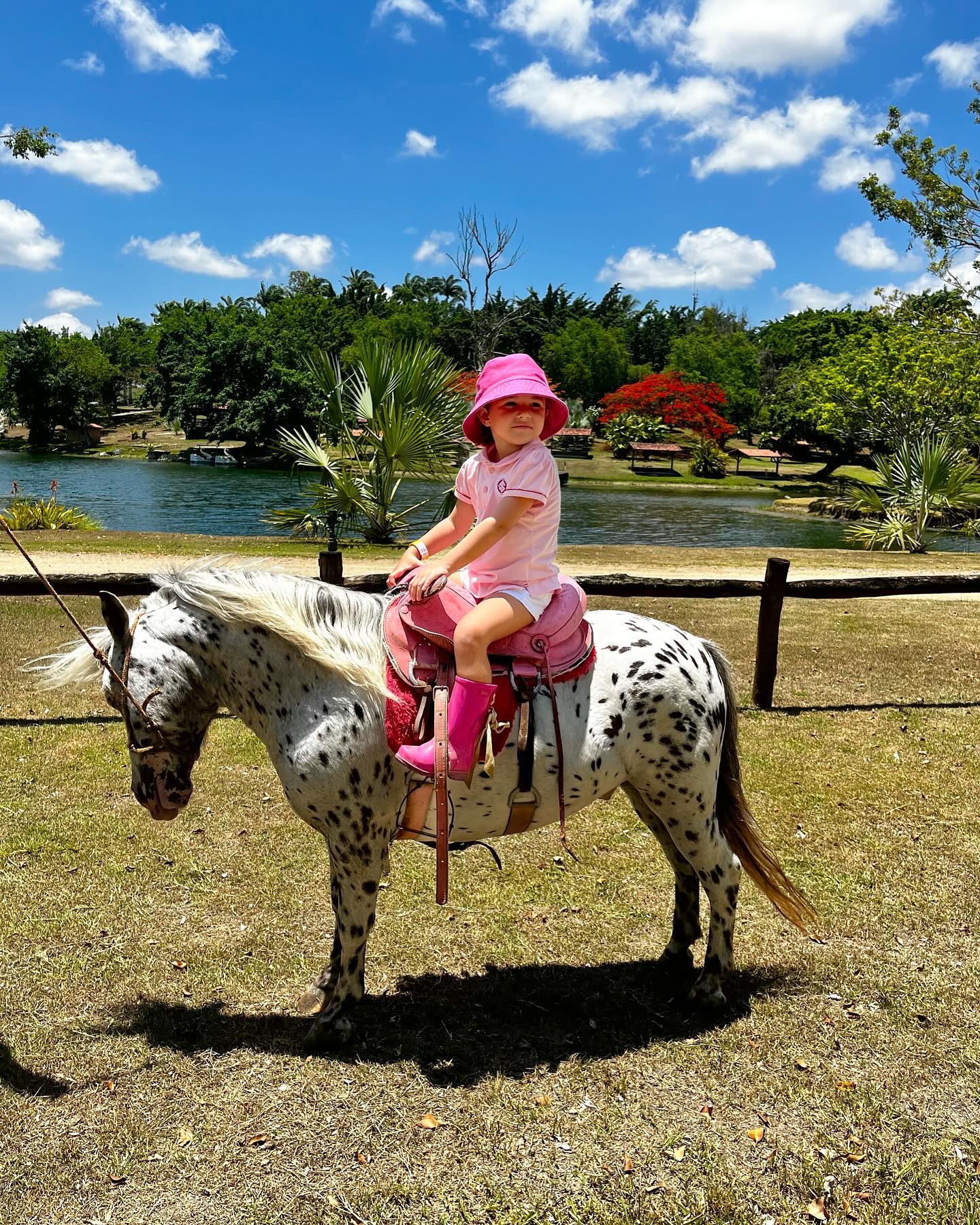SÃO JOÃO: Aracaju/SE