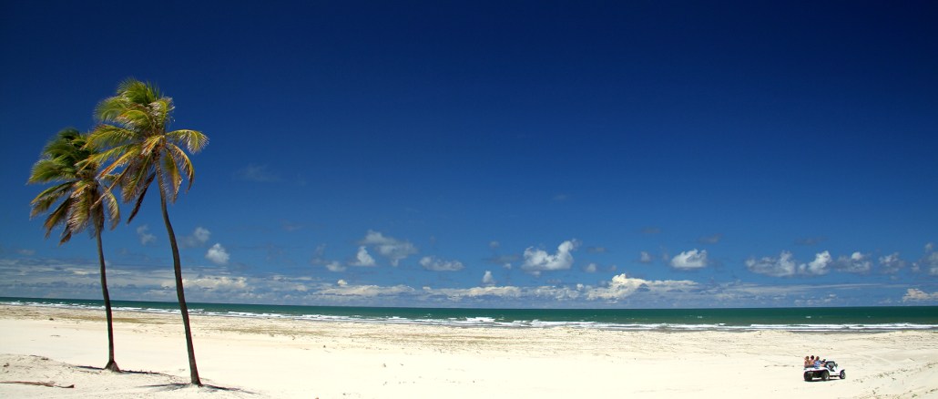 Mangue Seco | Bate-Volta