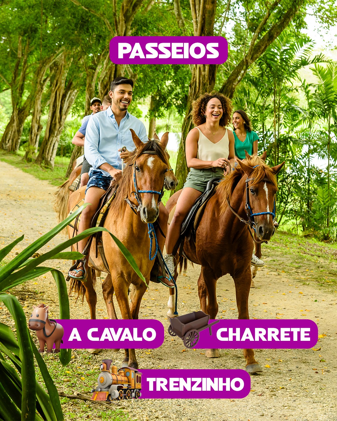SÃO JOÃO: Aracaju/SE