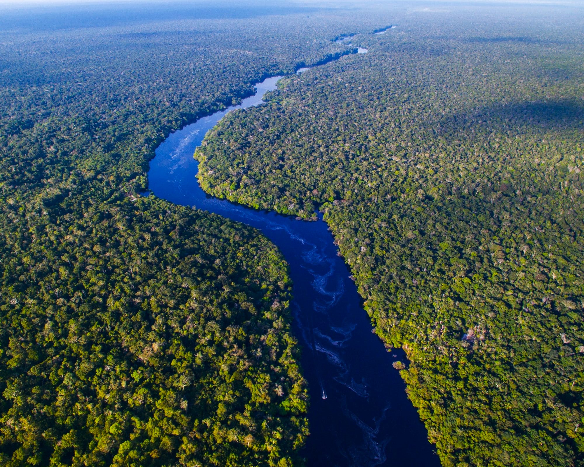 AÉREO: Amazonas / Manaus