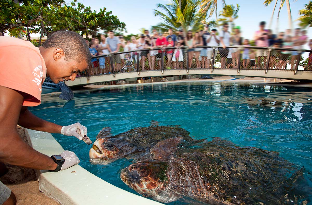 Praia do Forte + Guarajuba | Bate-Volta